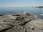 DSC01075Large.JPG